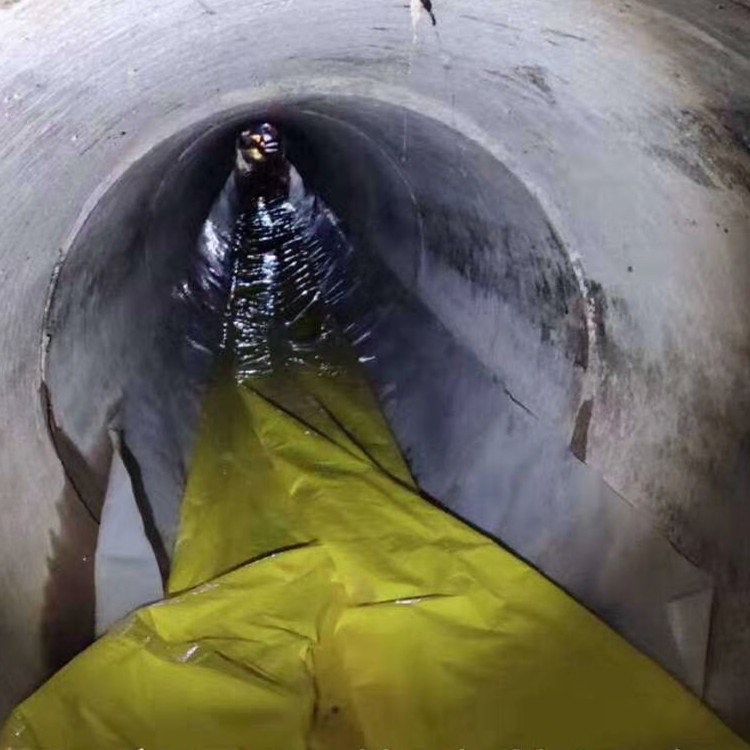 隆回管道光固化修复